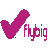 FlyBig Airways