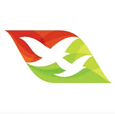 Air Seychelles Airlines